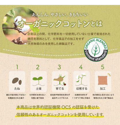 オーガニックコットン クッション シート 角丸 椅子 43×43cm 日本製 洗える 綿100% ボーダー チェア いす シートクッション おしゃれ かわいい ポール(代引不可)