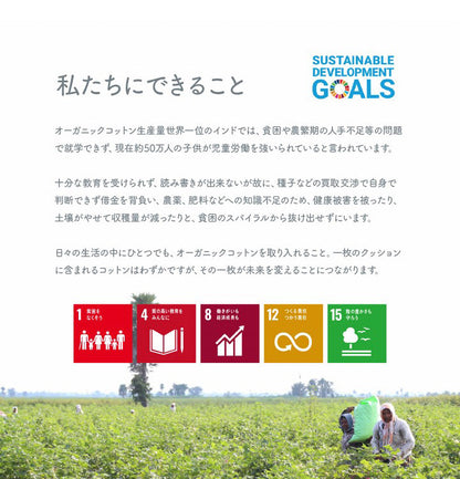 オーガニックコットン クッション シート 角丸 椅子 43×43cm 日本製 洗える 綿100% ボーダー チェア いす シートクッション おしゃれ かわいい ポール(代引不可)