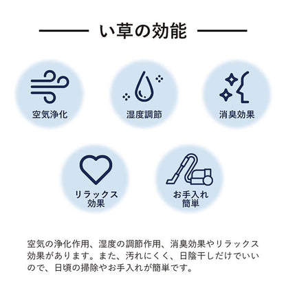 ラグ 長方形 い草 日本製 国産 自然素材 ナチュラル 市松柄 オールシーズン 消臭 シンプル 約140×200cm ホットカーペット対応 床暖房対応 プレーン(代引不可)