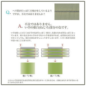 上敷き ゴザ 敷詰 カーペット い草 自然素材 日本製 国産 消臭 ナチュラル 市松柄 シンプル 本間1畳 約95.5×191cm プレーン(代引不可)