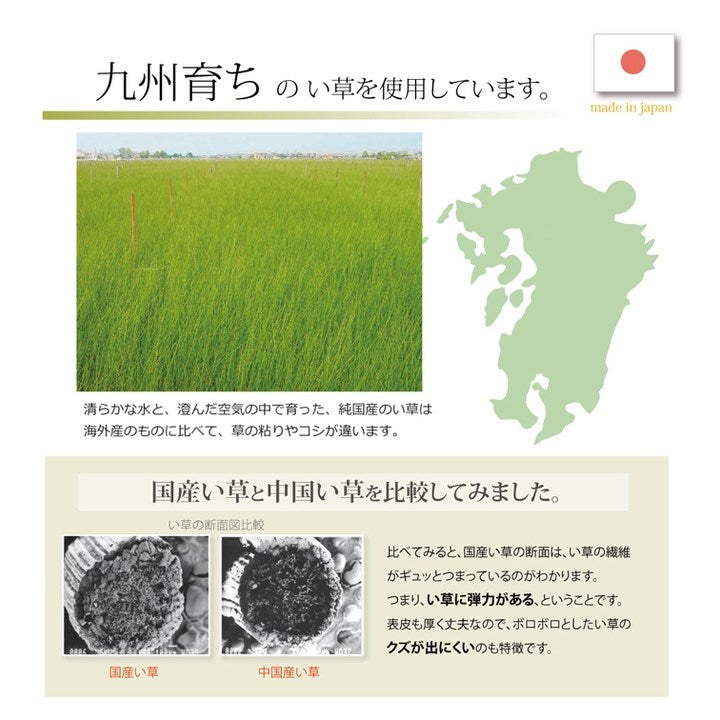 チェアパッド クッション 国産 無地 い草 い草クッション 円形 『プラード』 ブラック 約38cm丸 中材:チップウレタン プラード(代引不可)