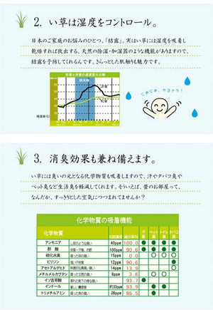 純国産 い草花ござカーペット 『ラビアンス』 ローズ 江戸間6畳(約261×352cm) ラビアンス(代引不可)