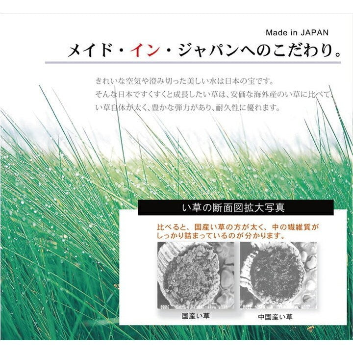 純国産 い草花ござカーペット 『ラビアンス』 ローズ 江戸間6畳(約261×352cm) ラビアンス(代引不可)