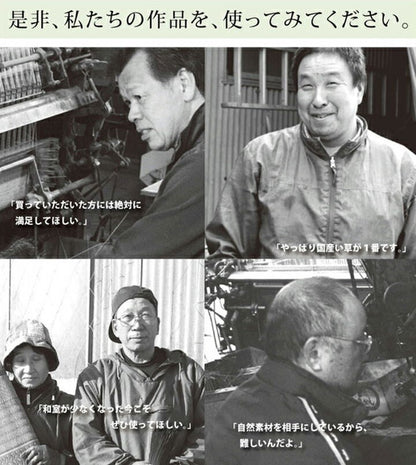 純国産 い草花ござカーペット 『ラビアンス』 ローズ 江戸間6畳(約261×352cm) ラビアンス(代引不可)