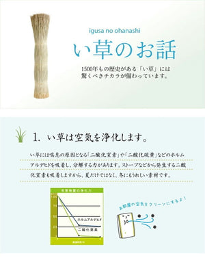 純国産 い草花ござカーペット 『ラビアンス』 ローズ 江戸間6畳(約261×352cm) ラビアンス(代引不可)