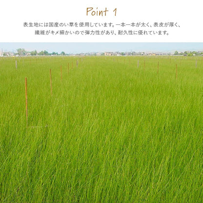 撥水 国産 い草 約88×88cm 半畳サイズ 単品 日本製 置き畳 ユニット畳 簡単 和室 滑り止め加工 不織布 絨毯 じゅうたん インテリア おしゃれ オールシーズン シンプル マット ラグ カーペット(代引不可)