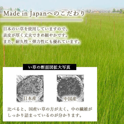 国産 い草 約82×82×1.5cm 6P 6枚組 日本製 置き畳 ユニット畳 正方形 簡単 和室 ナチュラル 絨毯 ラグ カーペット インテリア おしゃれ オールシーズン シンプル 北欧(代引不可)