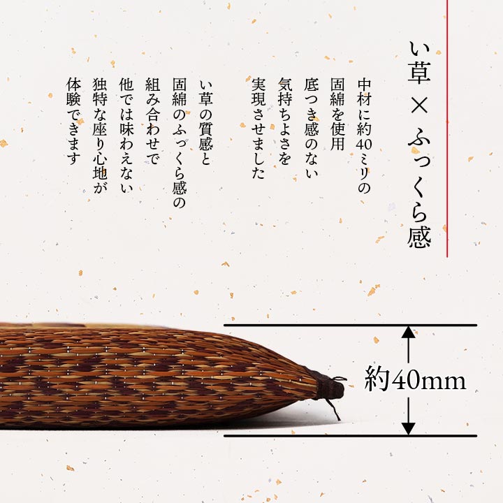 5枚組 日本製 い草 座布団 クッション モダン シンプル 人気柄 約55×55cm(代引不可)