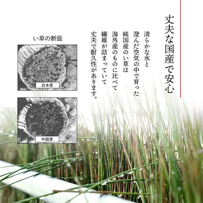 5枚組 日本製 い草 座布団 クッション モダン シンプル 人気柄 約55×55cm(代引不可)
