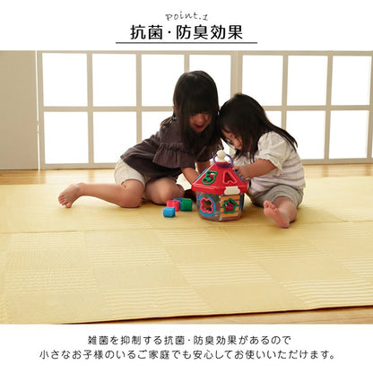 ラグ 江戸間3畳 約174×261cm 洗える カーペット 日本製 国産 抗菌 防臭 消臭 アウトドア レジャー 敷物 和室 シンプル 絨毯 じゅうたん インテリア 北欧 オールシーズン おしゃれ 新生活(代引不可)