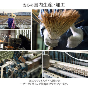 い草ラグ ランクス 174×261cm 江戸間3畳 ラグ マット 国産 純国産 日本製 い草 モダン 抗菌防臭 自然素材 涼感 和室 洋室 ヒバ 抗菌 防臭 フローリング オールシーズン ラグマット 絨毯 イ草(代引不可)
