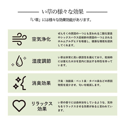 い草ラグ 本間3畳 約191×286cm 花ござ カーペット 格子柄 ナチュラル シンプル 和室 抗菌防臭 消臭 お手入れ簡単 夏快適さらさら インテリア おしゃれ 北欧 オールシーズン 新生活(代引不可)