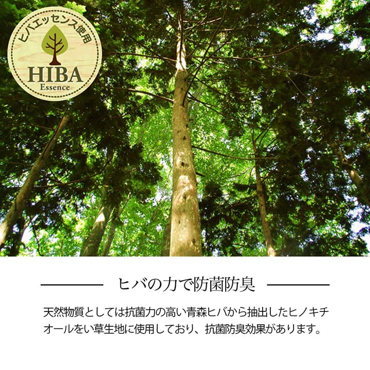 い草ラグ 本間3畳 約191×286cm 花ござ カーペット 格子柄 ナチュラル シンプル 和室 抗菌防臭 消臭 お手入れ簡単 夏快適さらさら インテリア おしゃれ 北欧 オールシーズン 新生活(代引不可)