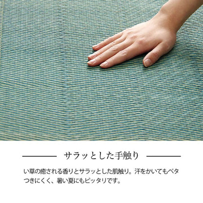 い草ラグ 団地間6畳 約255×340cm 花ござ カーペット 格子柄 ナチュラル シンプル 和室 抗菌防臭 消臭 お手入れ簡単 夏快適さらさら インテリア おしゃれ 北欧 オールシーズン 新生活(代引不可)