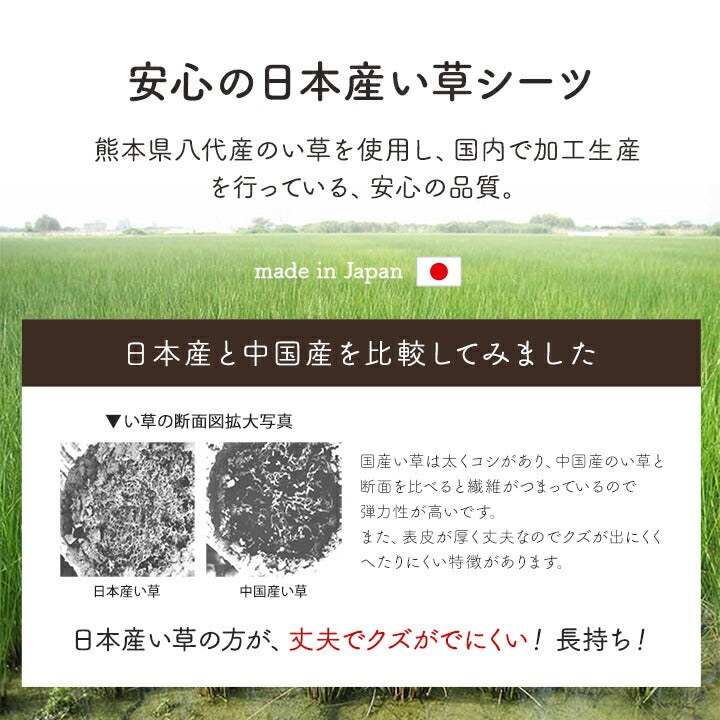 寝具 シーツ い草 88×180cm 吸湿 調湿効果 抗菌防臭 寝ござ 国産 ねござ 日本製 熊本県八代産 「 リルマ 」夏用 敷きパッド ござ 寝汗(代引不可)