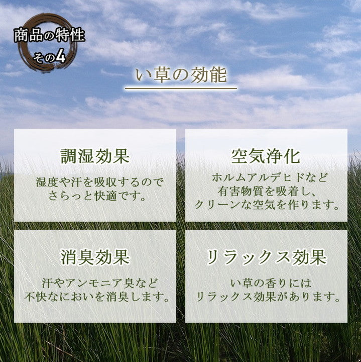 置き畳 約82×82cm 6P 6枚組 ユニット畳 い草 消臭 抗菌 防臭 掛川織 ラグ カーペット 絨毯 じゅうたん インテリア オールシーズン 在宅ワーク リモートワーク おしゃれ 新生活 たたみ(代引不可)