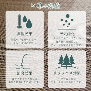 置き畳 ユニット畳 システム畳 国産 日本製 ナチュラルスタイル い草 消臭 抗菌防臭 市松 ブラウン 約82×82×2.3cm 単品 シンプルノア(代引不可)