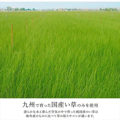 置き畳 ユニット畳 システム畳 国産 日本製 ナチュラルスタイル い草 消臭 抗菌防臭 市松 ブラウン 約82×82×2.3cm 単品 シンプルノア(代引不可)