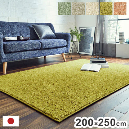 日本 約3.2畳 約200×250cm 抗菌 消臭 清潔 ラグ カーペット 防炎 アレルキャッチャー 抗アレル物質 ダニ対策 シャギー 無地 ールシーズン おしゃれ インテリア 北欧(代引不可)