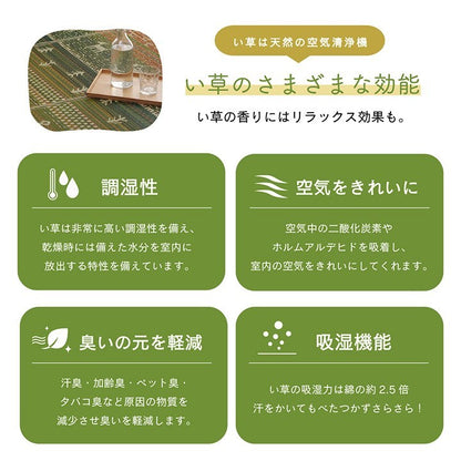ラグ マット い草 ギャベ 自然素材 抗菌防臭 不織布 ブラウン 約60×180cm サラ(代引不可)