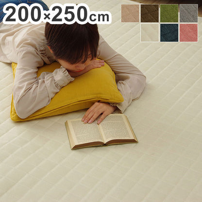 ラグ カーペット 長方形 3畳 約200×250cm 洗える 無地 高級感 ヘリンボーン ホットカーペット 床暖房 光沢 シンプル クッション性 ウレタン 絨毯 インテリア おしゃれ オールシーズン コンパクト(代引不可)