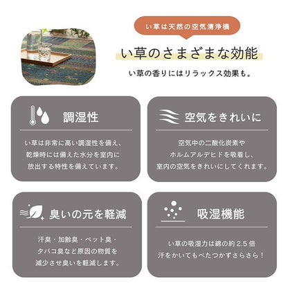 ラグ い草 ギャベ 自然素材 抗菌防臭 滑り止め不織布 ブルー 約191×250cm トロイ(代引不可)