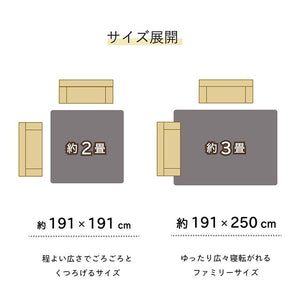ラグ い草 ギャベ 自然素材 抗菌防臭 滑り止め不織布 ブルー 約191×250cm トロイ(代引不可)