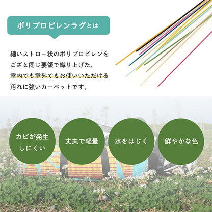 日本製 洗える レジャー シート 約87×140cm アウトドア お手入れ 持ち運び 便利 簡単 楽 PP ポリプロピレン エスニック カラフル おしゃれ(代引不可)