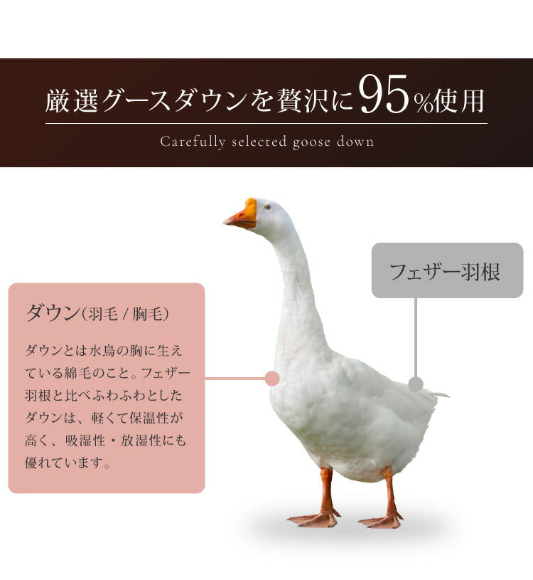 日本製 羽毛ふとん シングル 1.2kg 最高クラスプレミアムゴールドラベル ポーランド産ホワイトグースダウン 95% 440dp以上 立体キルト 抗菌 掛け布団 国産 羽毛 布団 ふとん 掛布団 あったか 冬(代引不可)