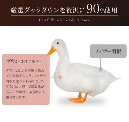 日本製 2枚合わせ 羽毛布団 セミダブル エクセルゴールドラベル ハンガリー産ホワイトダックダウン90% 350dp 充填量1.4kg 立体キルト 国産 冬 暖かい あったか 合い掛け布団 肌掛け布団 羽毛掛け布団 (代引不可)