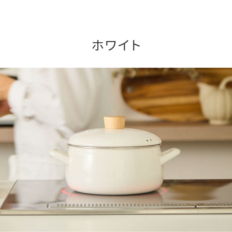 富士ホーロー せいろ付きホーロー鍋 2段 セット 20cm 簡単蒸し料理
