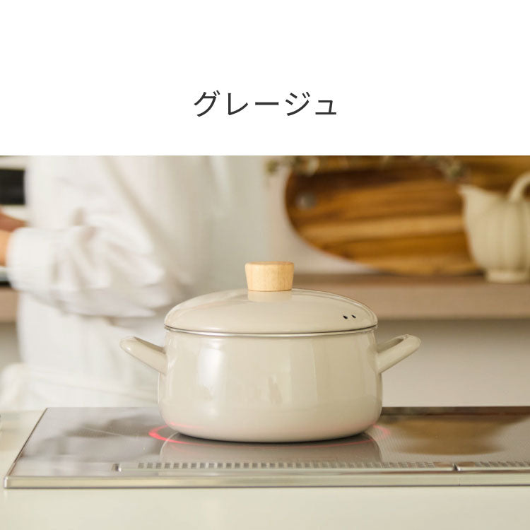 富士ホーロー せいろ付きホーロー鍋 2段 セット 20cm 簡単蒸し料理