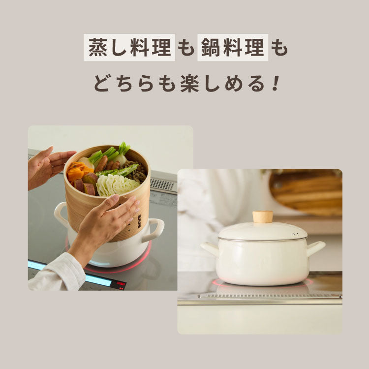 富士ホーロー せいろ付きホーロー鍋 2段 セット 20cm 簡単蒸し料理