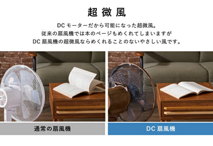 エスケイジャパン DC扇風機 SKJ-K309DC8-W ホワイト DCモーター搭載 8の字首振り扇風機 風量調節8段階 リビング扇風機