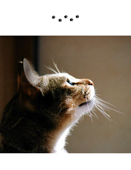 猫壱 猫用 脚付フードボウル レギュラー 猫柄 食器 猫用食器 ボウル エサ エサ皿 ペット ペット用食器