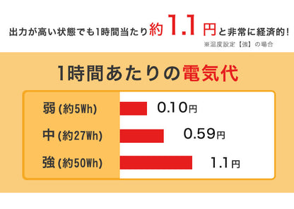 ほかほかごろ寝ホットマット ワイド NA-391PMW あったかマット 電気敷きパッド 敷きパッド ホットパッド