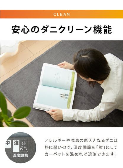 電気カーペット 2畳 正方形 168×168 ホットカーペット ホットマット ダニクリーン ダニ退治