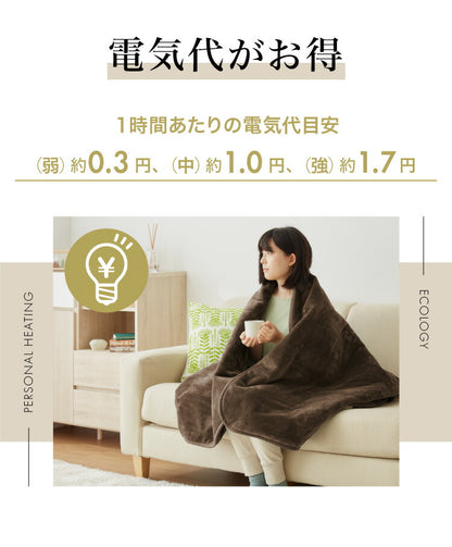 フランネル掛敷電気毛布 188×180cm ダブル 洗える 電気毛布 抗菌 防臭 防ダニ 本体丸洗い 室温センサー ダニ退治 ブラウン 掛け敷き