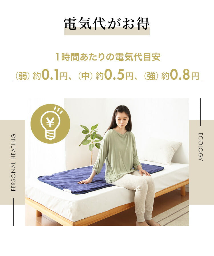 フランネル 消臭敷き毛布 洗える電気毛布 ダニ退治 本体丸洗い ネイビー 消臭 デオテックス 本体丸洗い可能 スライド調節 室温センサー 電気毛布
