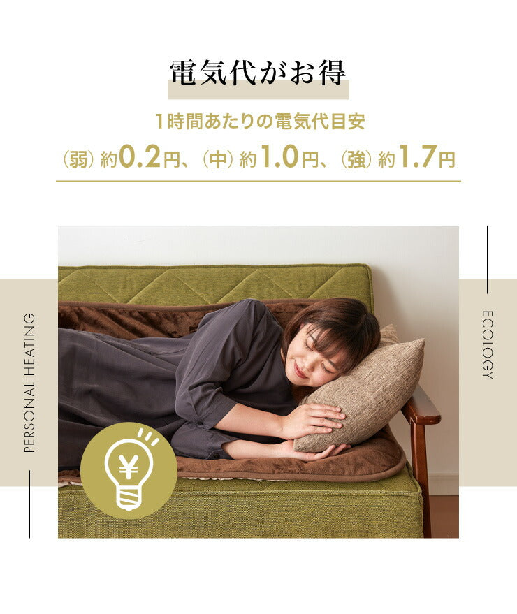 フランネル 電気ごろ寝マット 180×80cm 本体丸洗い可能 ダニ退治 スライド調節 室温センサー ごろ寝マット ごろ寝 マット