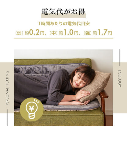 フランネル 電気ごろ寝マット 180×80cm ふかふかタイプ 本体丸洗い可能 ダニ退治 スライド調節 室温センサー ごろ寝マット