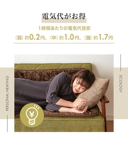 フランネル 電気ごろ寝マット 180×80cm 消臭 デオテックス 本体丸洗い可能 ダニ退治 スライド調節 室温センサー ごろ寝マット