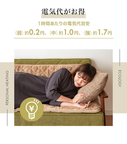 フランネル 電気ごろ寝マット 180×80cm ダニ除け加工 本体丸洗い可能 ダニ退治 スライド調節 室温センサー ごろ寝マット