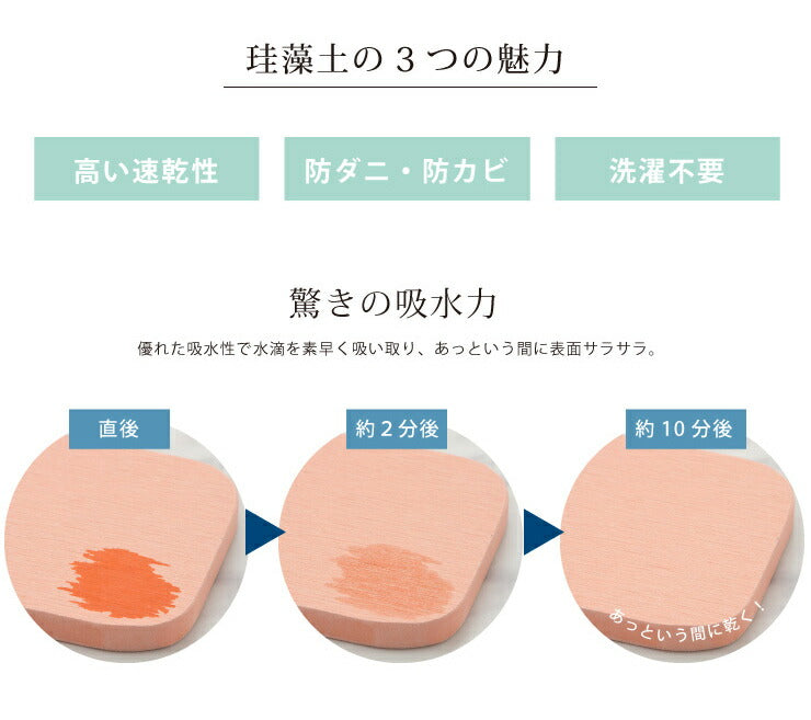 珪藻土石鹸マット 大 L 風呂 お風呂 速乾 石鹸置き 石鹸マット ギフト Lサイズ