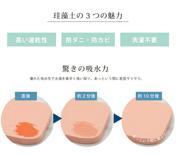 珪藻土石鹸マット 大 S 風呂 お風呂 速乾 石鹸置き 石鹸マット ギフト Sサイズ