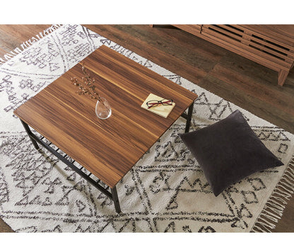 センターテーブル 正方形 おしゃれ 棚付き 収納 木目 スチール ブラウン リビング テレワーク 在宅勤務 一人暮らし 新生活 テーブル ローテーブル リビングテーブル 座卓 棚付 モダン レトロ 北欧 ヴィンテージ