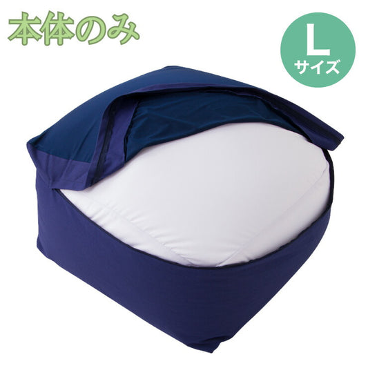 ビーズクッション本体 ヌードタイプ 特大 Lサイズ 58x58x35 極小ビーズ 大きい ジャンボ 北欧 マイクロビーズクッション 抱き枕 補充ビーズ 補充用 替えビーズ 中身