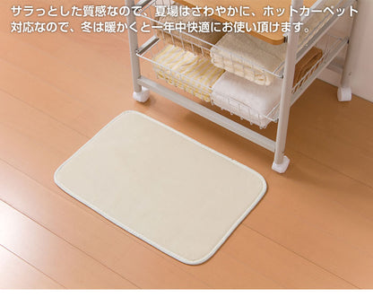 マイクロファイバーラグ ラグマット ミニ 35x50cm フランネル 洗える 玄関 北欧 オールシーズン トイレ【メール便配送】