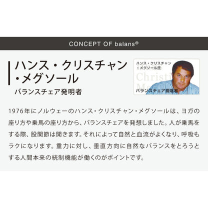 【正規品 3年保証】 balans バランスチェア N5070 姿勢保持 北欧 カバー 取り替えられる イス 椅子 学習机 リモートワーク 在宅 姿勢 学習チェア イス 椅子 いす 学習イス チェア チェアー 猫背 背筋 ピン 子供 子供用 (代引不可)