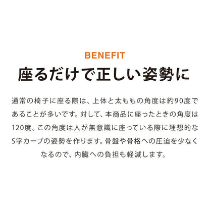 【正規品 3年保証】 balans バランスチェア N5070 姿勢保持 北欧 カバー 取り替えられる イス 椅子 学習机 リモートワーク 在宅 姿勢 学習チェア イス 椅子 いす 学習イス チェア チェアー 猫背 背筋 ピン 子供 子供用 (代引不可)